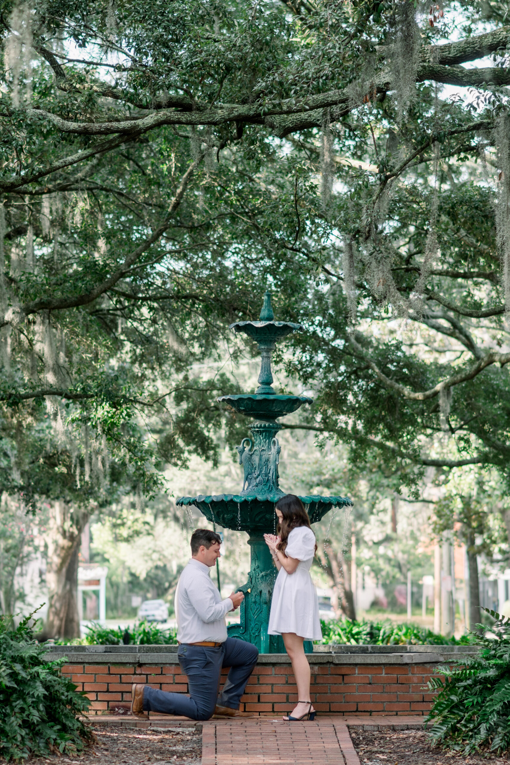 Savannah Proposal