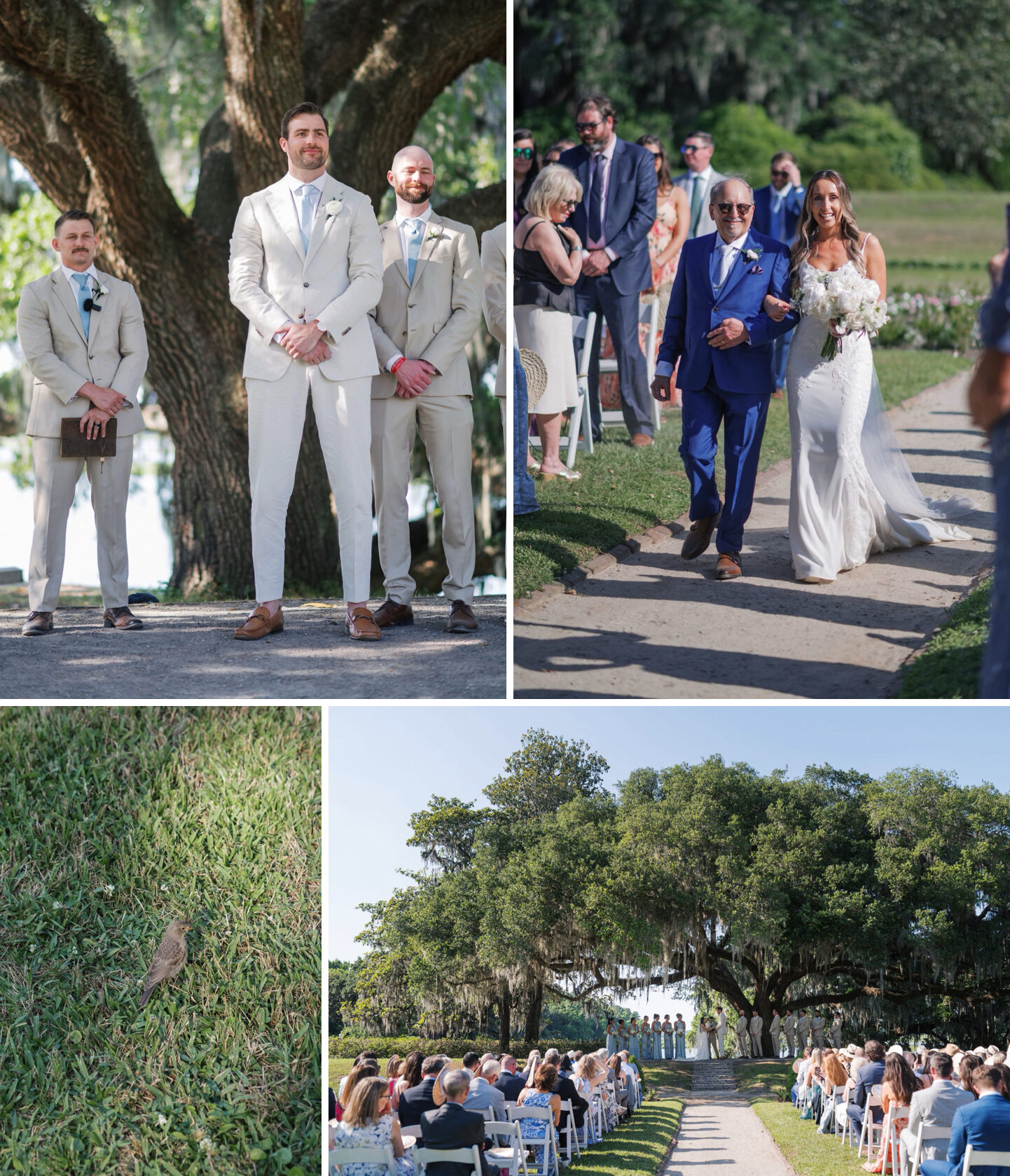 romantic garden wedding at middleton place