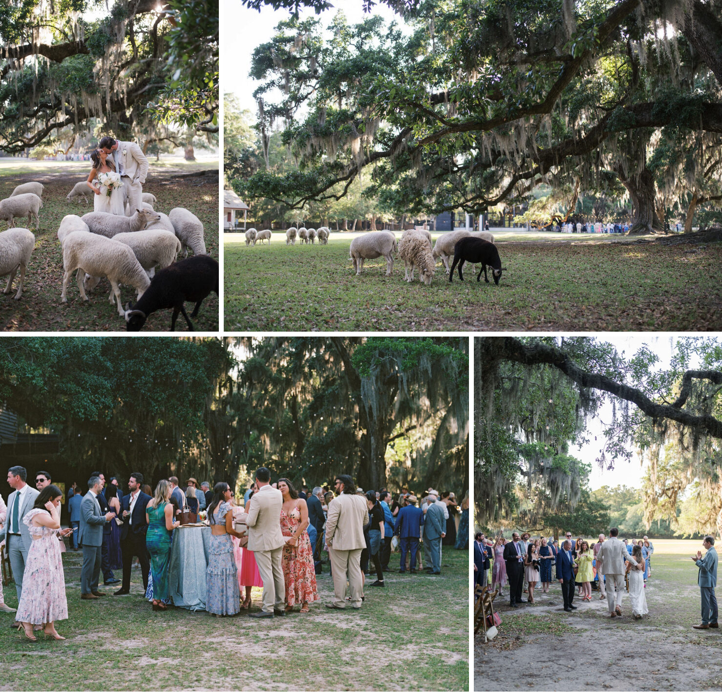 romantic garden wedding at middleton place