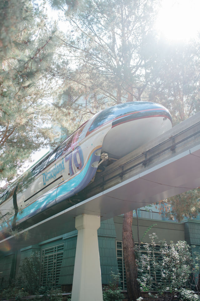 grand californian wedding